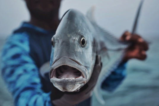 En sportfiskare i blåmönstrad skjorta håller en stor silverfisk mot kameran, havet suddigt i bakgrunden.