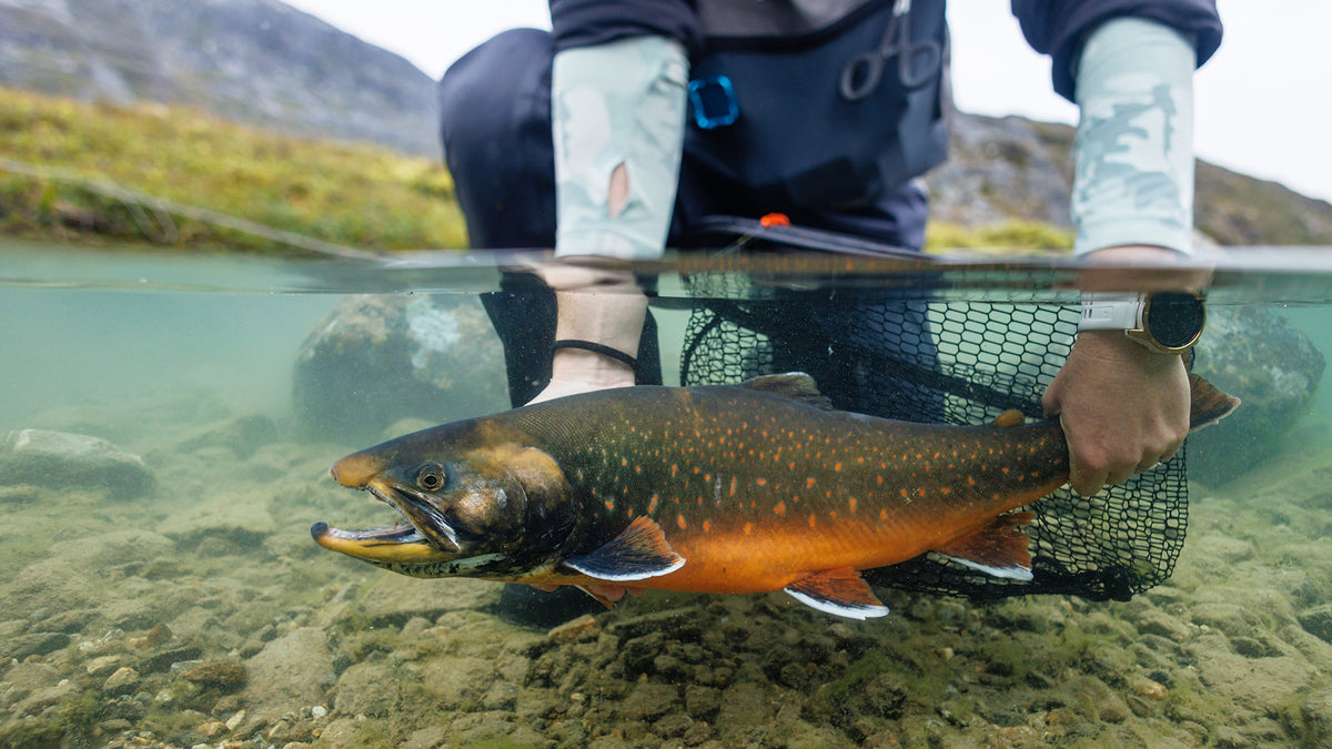 En sportfiskare håller en stor fisk med orange och mörkgröna teckningar i håv vid stenig älvbotten, ansiktet ej synligt.