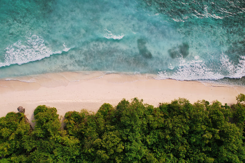 Flygbild av tropisk strand med turkost vatten, sandstrand och grönska-idealisk plats för fiske eller en minnesvärd fiskeresa.