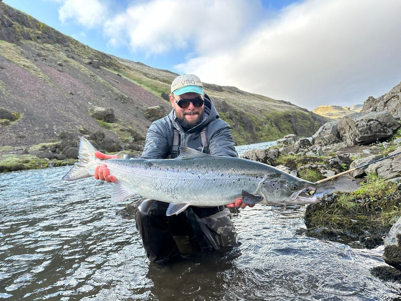 Lax fångad på Island