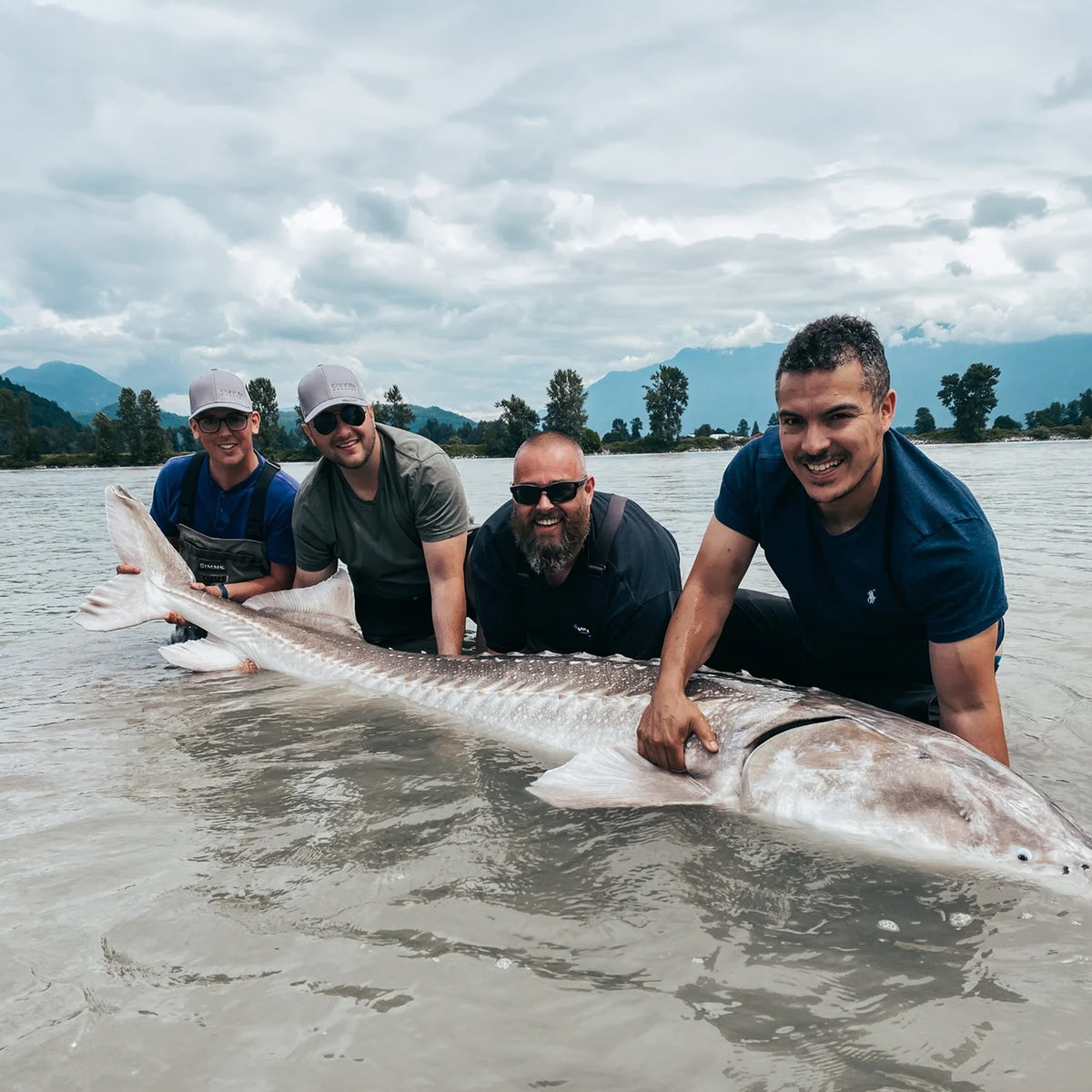 Fyra leende sportfiskare visar upp en stor fångst vid Fraser River, Kanada. Berg och skog i bakgrunden. Fiskeresa deluxe.