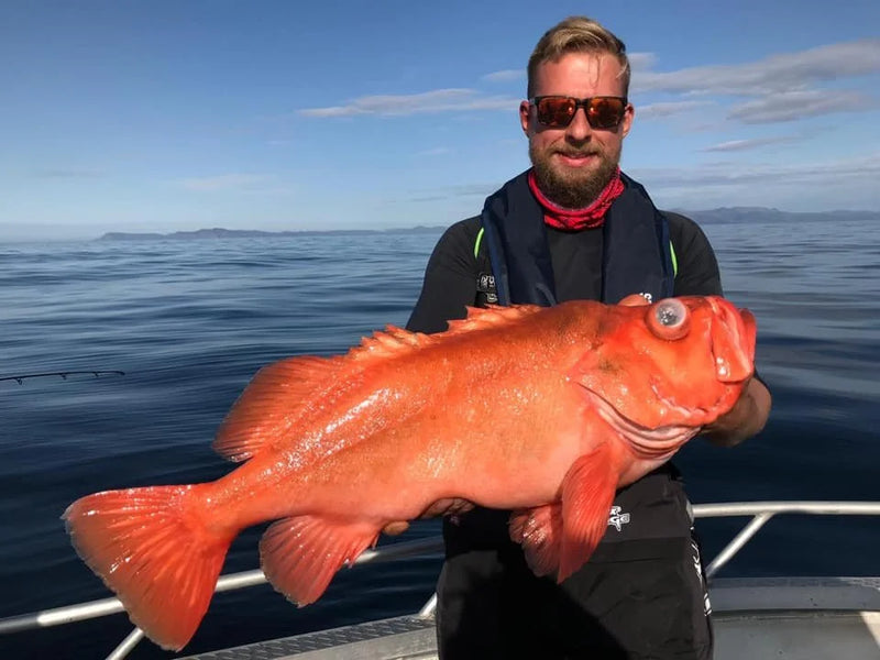 En sportfiskare med solglasögon och flytväst visar upp en stor orange fisk på båt, lugnt vatten och vy över avlägsen kust.