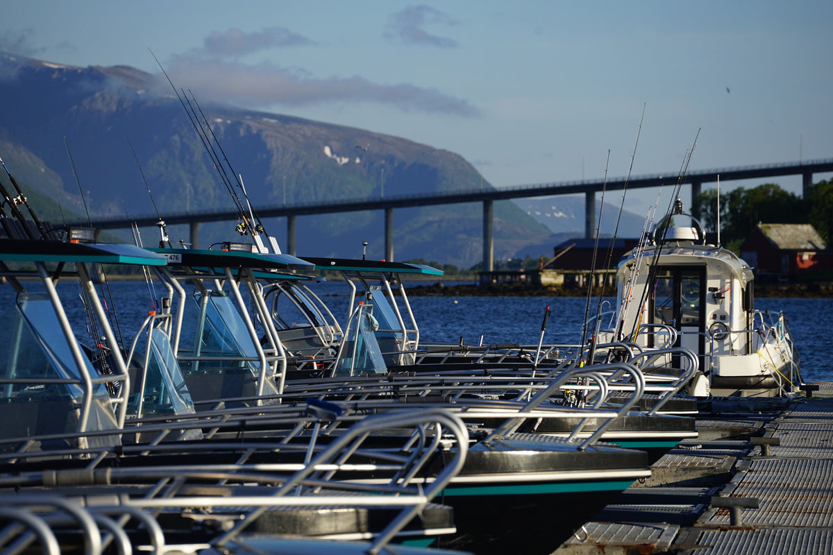 Fiskebåtar med spöhållare vid kajen väntar sportfiskare. Stor bro och fjärran berg-idealisk plats för fiskeresa.