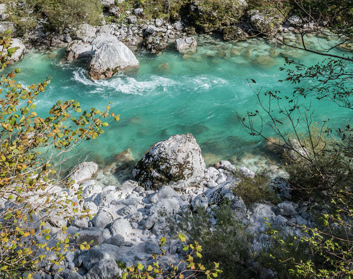 Klar turkos älv rinner över vita stenar, omgiven av grönska-perfekt för sportfiske och fiskeresa i naturskön miljö.