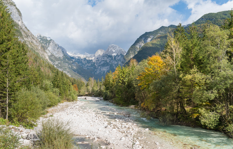En klar, grund älv rinner genom stenig dal med grönska och höstfärger-perfekt för sportfiske-omgiven av berg och snötoppar.