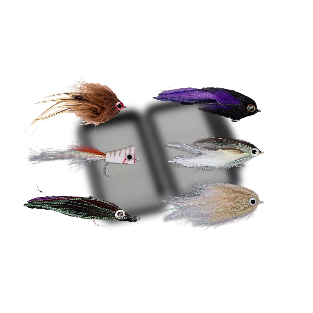 Flugpaket Maldiverna GT